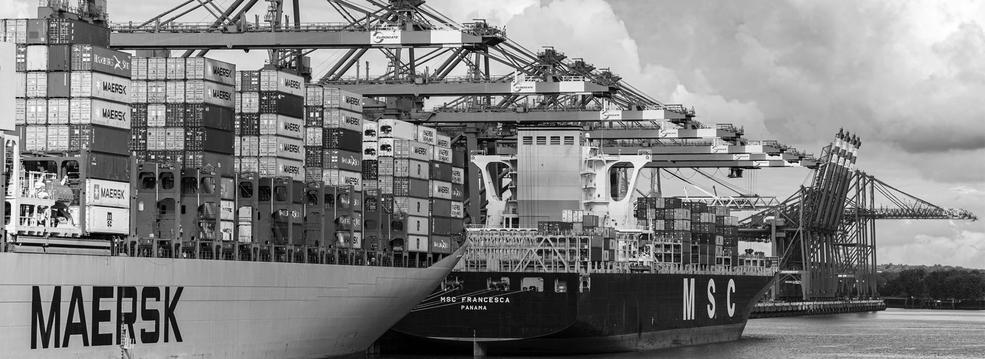 Container freight terminal